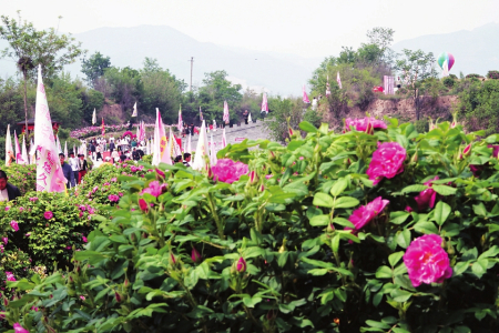 點(diǎn)擊放大